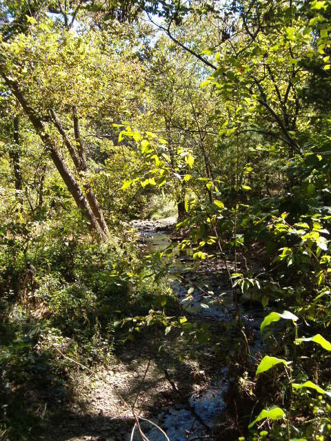 Creek Photo 2