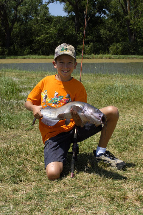 Child holding a large catfish