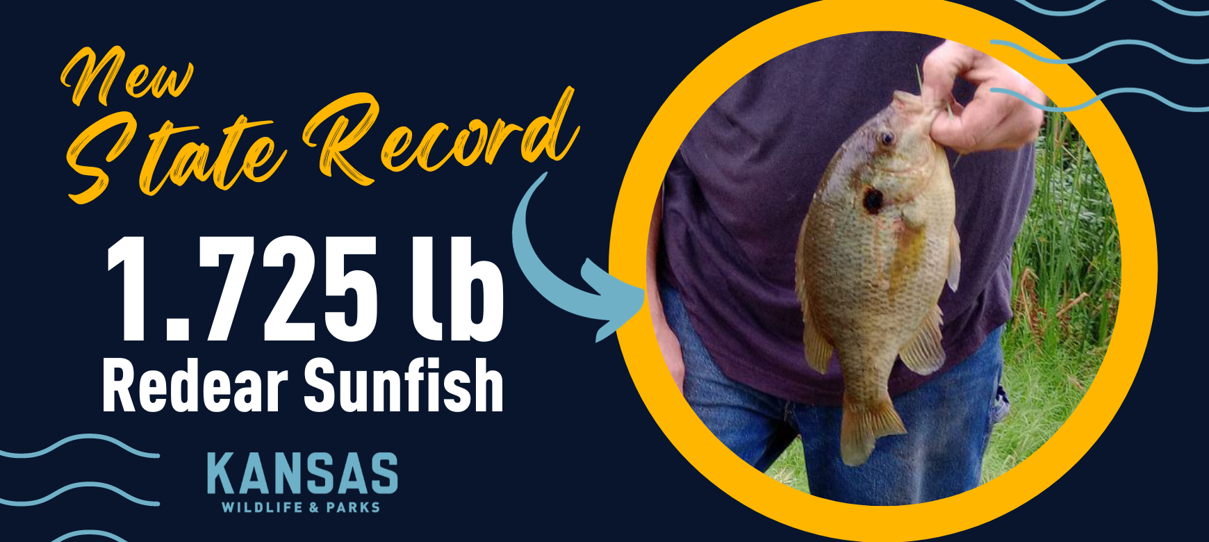Record fish caught at Kansas reservoir