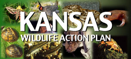 Public Input Needed for State Wildlife Action Plan