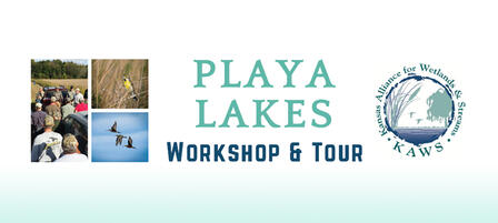 Sign Up For Playa Lakes Tour and Workshop