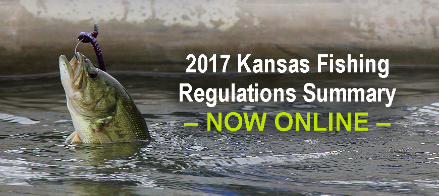 2017 Fishing Regulations Summary Available Online