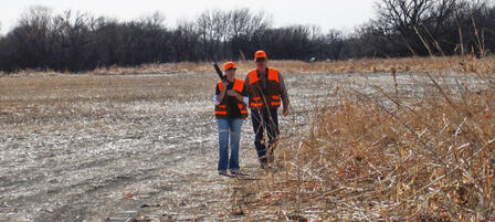 Youth Pheasant and Quail Seasons Perfect For Mentoring