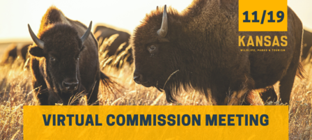 Wildlife, Parks and Tourism Commission to Meet Virtually on Nov. 19