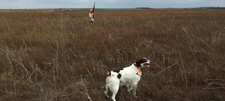 Women and Youth Invited to Celebrity Pheasant Hunt Dec. 12