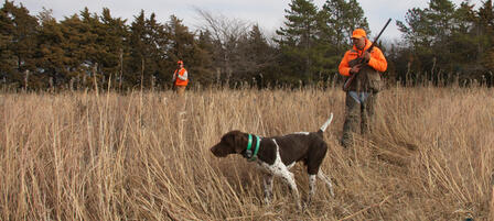 Kansas Bird Hunters Anticipate Second Saturday In November