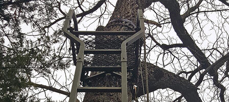 Treestand Safety Tips That Can Save Your Life