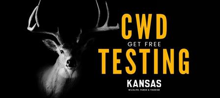 KDWPT To Offer Deer Hunters Free Chronic Wasting Disease Testing