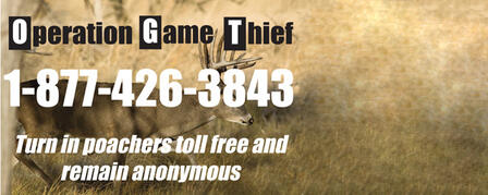 REPORT POACHERS TOLL-FREE AND REMAIN ANONYMOUS