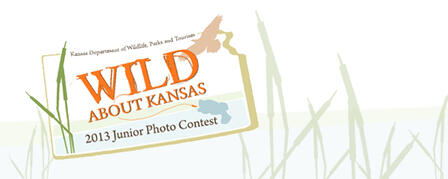 NEW CONTEST TO SHOWCASE BUDDING OUTDOOR PHOTOGRAPHERS