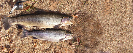ANGLERS STALK LATE-WINTER TROUT