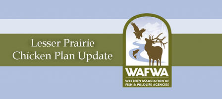 Lesser Prairie Chicken Range-wide Conservation Plan Progress