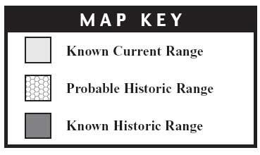 A SINC Map Key