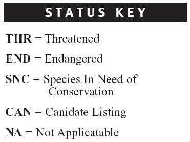A Status Key