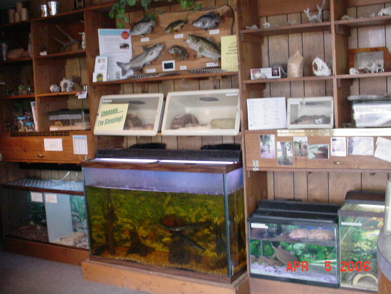 List of Live Animals on display in the Park Office