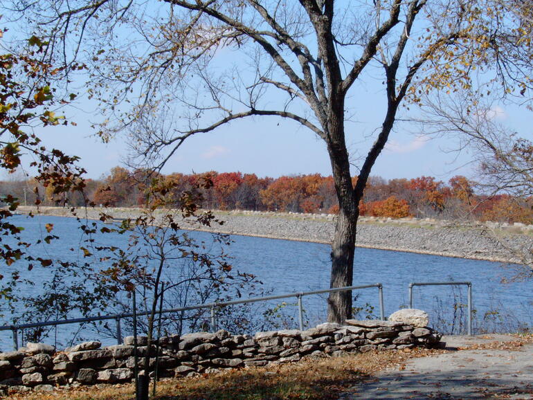 Fall trees behind the dam
