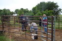 Quality Well Service making horse corrals better