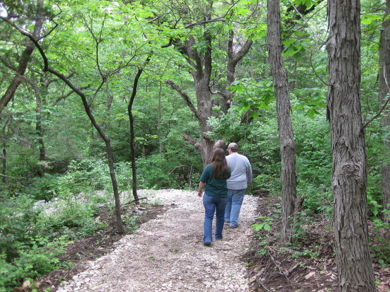 Hikers on the trail