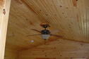 Wilson Lake Elm Ceiling Fan