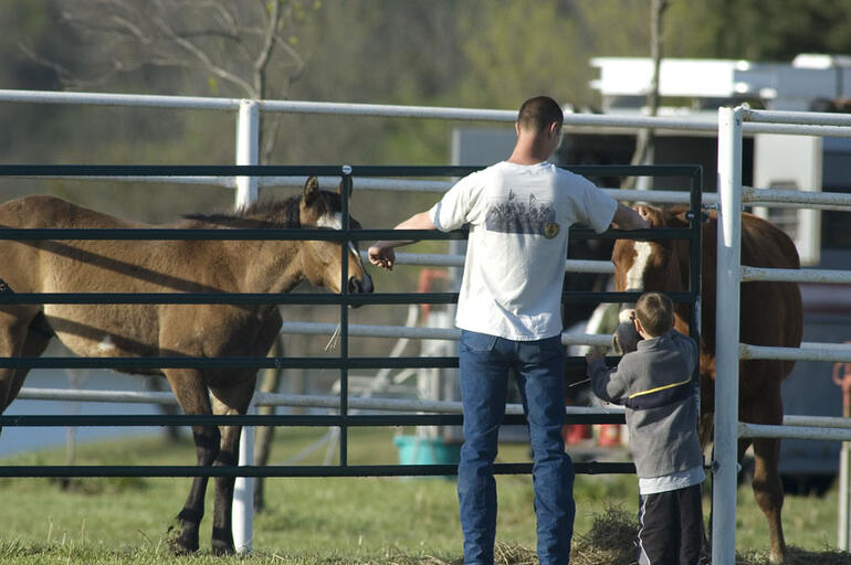 Helping dad feed the horses