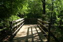 Buck Brush Trail Bridge