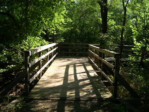 Buck Brush Trail Bridge