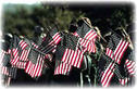 Eisenhower Flags