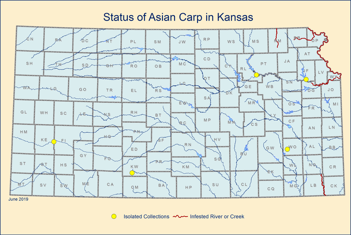 Map – Asian Carp in Kansas