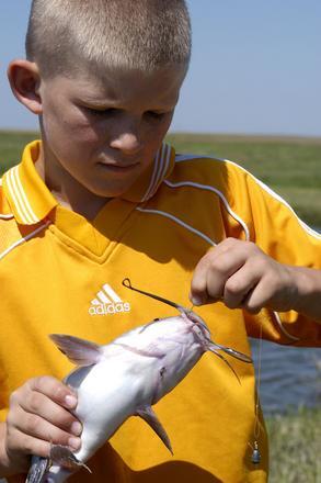 Boy with channel catfish / Extra Fishing Gallery / Fishing / KDWP - KDWP