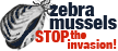 Zebra Mussel Logo