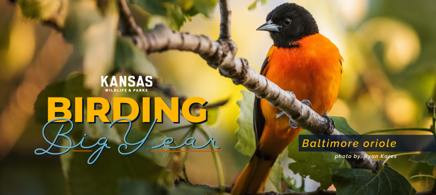 2022 Kansas Birding Big Year Results, 2023 Contest
