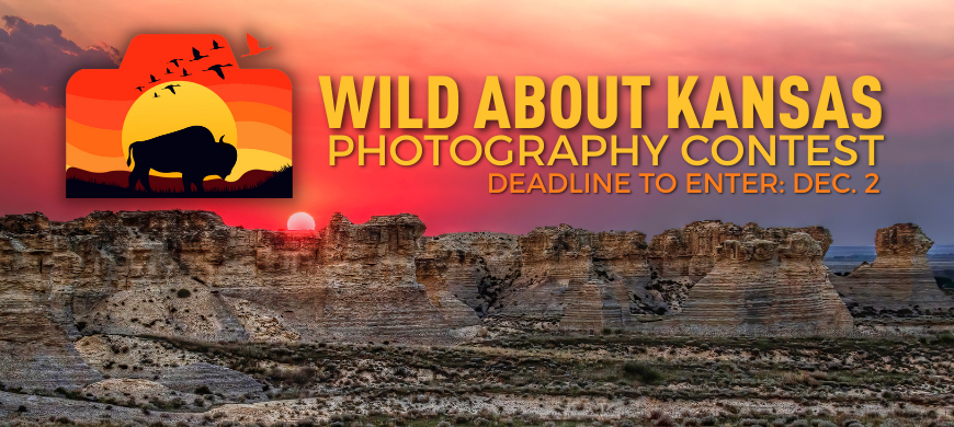 Kansas Wildlife and Parks Magazine Hosts 10th Annual Photo Contest