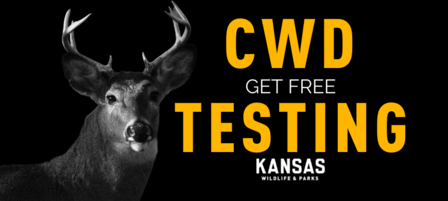 KDWP To Again Offer Free Testing for Chronic Wasting Disease