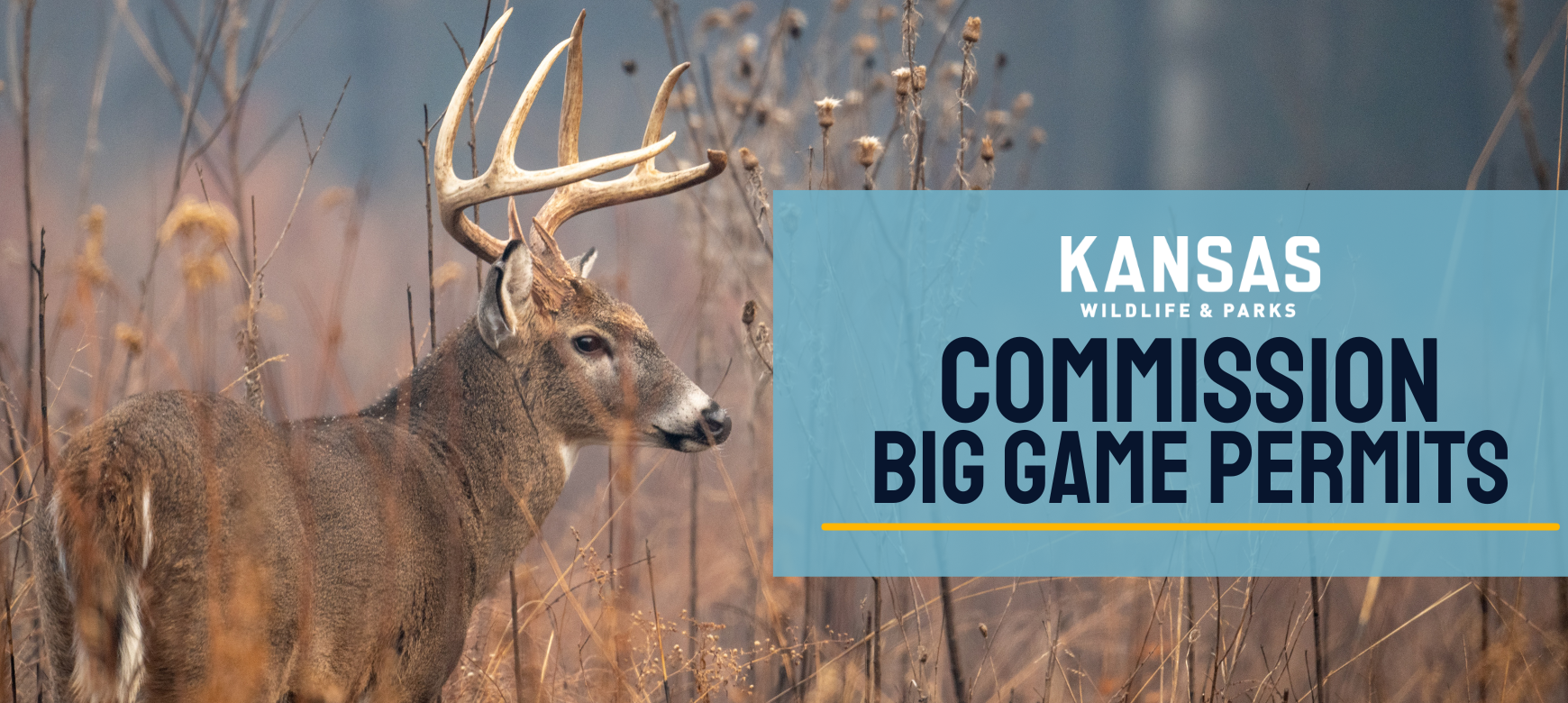 Nonprofits Still Have Time to Apply for Special Big Game Permits