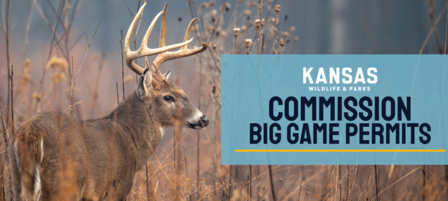 Nonprofits Still Have Time to Apply for Special Big Game Permits