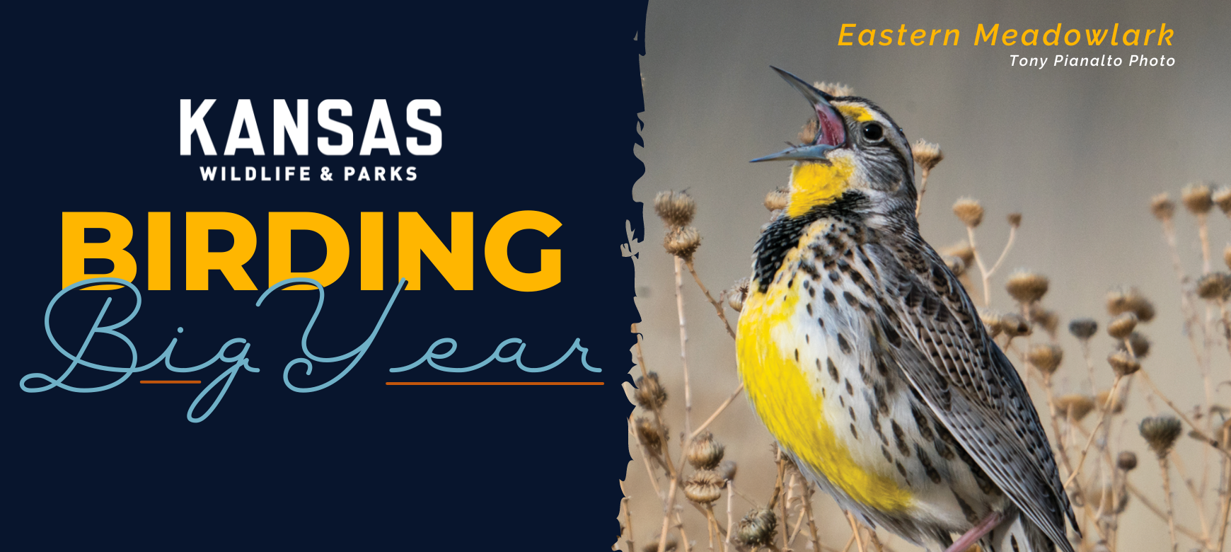 2023 Kansas Birding Big Year Results, 2024 Contest 