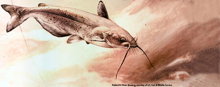 TEACHERS: 2010 STATE-FISH ART CONTEST DEADLINE MARCH 31