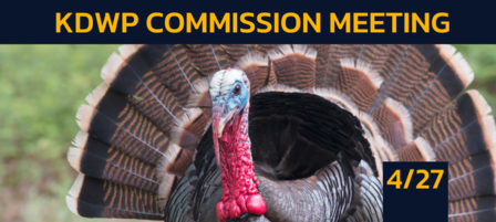 Kansas Wildlife and Parks Commission to Vote on Turkey, Waterfowl Seasons and Bag Limits
