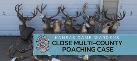 Kansas Game Wardens Successfully Close Large Mule Deer Poaching Case