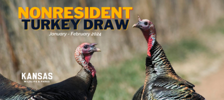 Kansas Wildlife and Parks Commission Approves Lottery Draw for Non-resident Turkey Permits