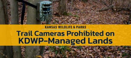 Trail Cameras Prohibited on KDWP-managed Lands in Response to Growing Public Concerns