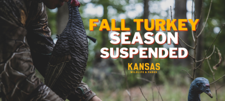 Fall Turkey Season Suspended in Kansas Due to Population Declines 