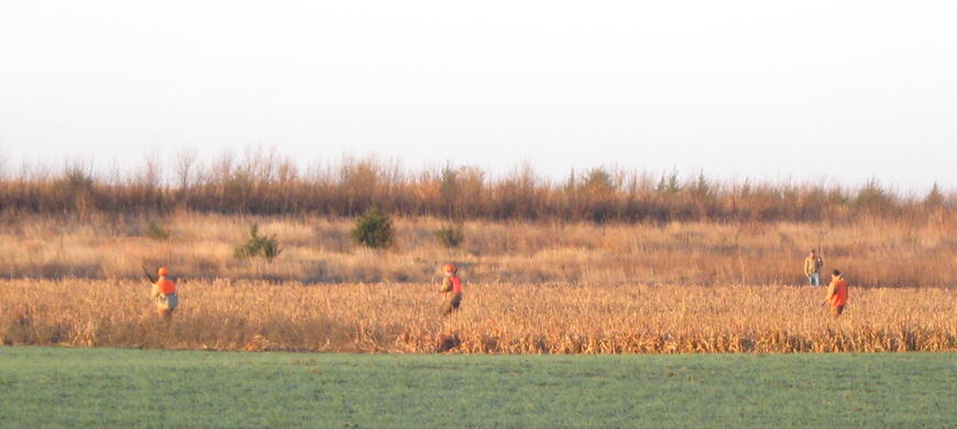 hunters in the field