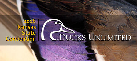 Waterfowl Enthusiasts Invited to Kansas Ducks Unlimited State Convention