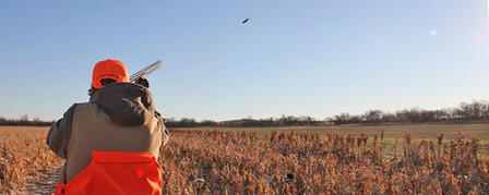 PHEASANTS FOREVER TO HOST YOUTH UPLAND HUNT OCT. 18