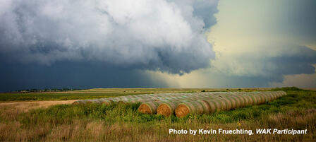 Wild About Kansas Photo Contest Winners Selected