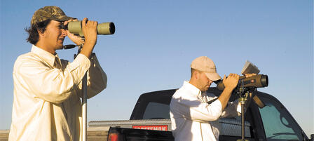 Birding Big Year Competition Begins Jan. 1