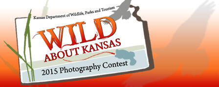 WILD ABOUT KANSAS PHOTO CONTEST NOW OPEN TO ALL AGES
