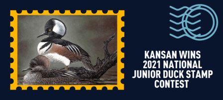 Kansas Teen Wins 2021 National Junior Duck Stamp Contest