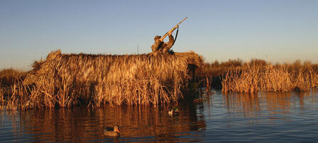 Wildlife, Parks and Tourism Commission Approve Waterfowl Seasons